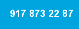 917 873 22 87